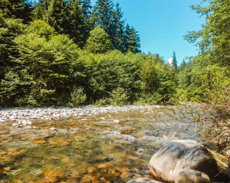 Lynn Canyon Park in North Vancouver, one of the ten Vancouver day trips I recommend.