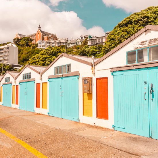 Things to do in Wellington: photograph the Oriental Bay Huts