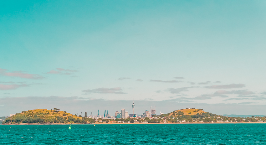 Cruise views in Auckland, New Zealand