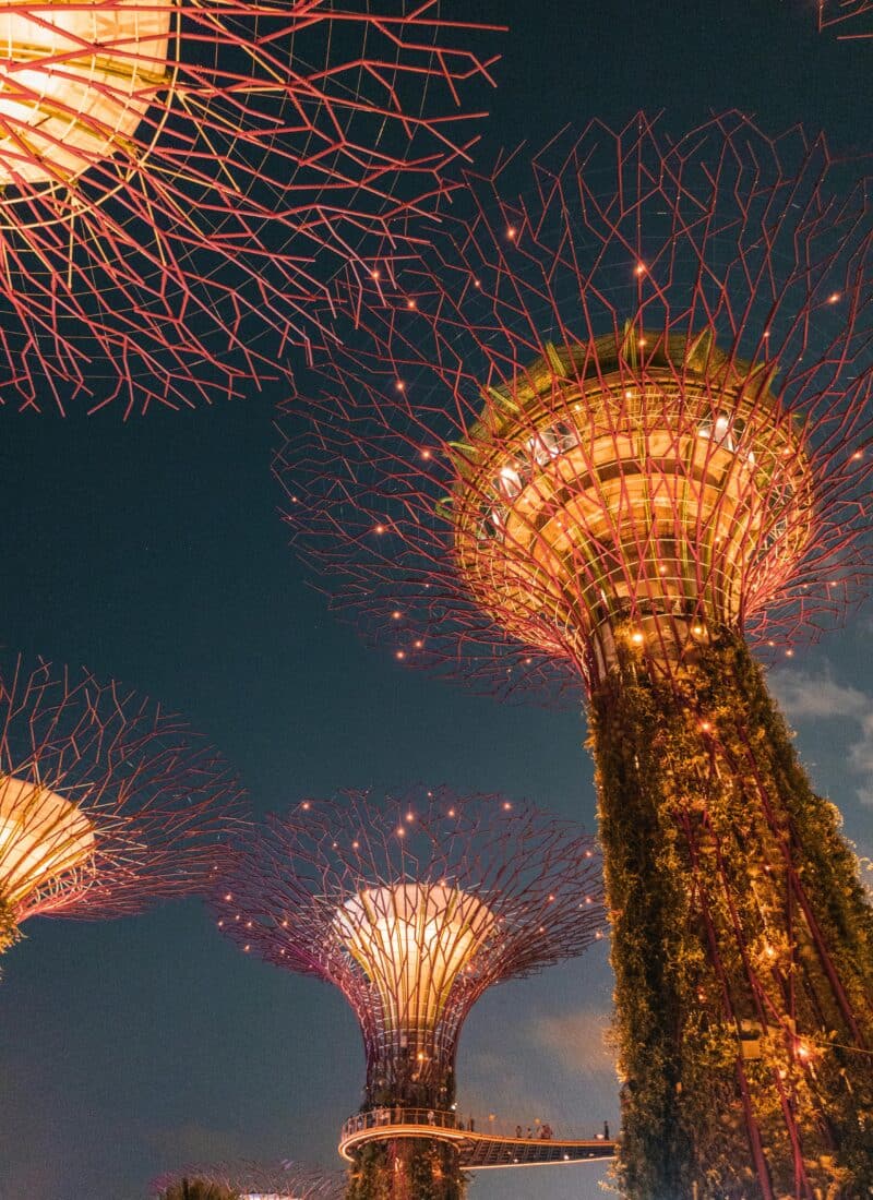 Supertree Grove in Singapore