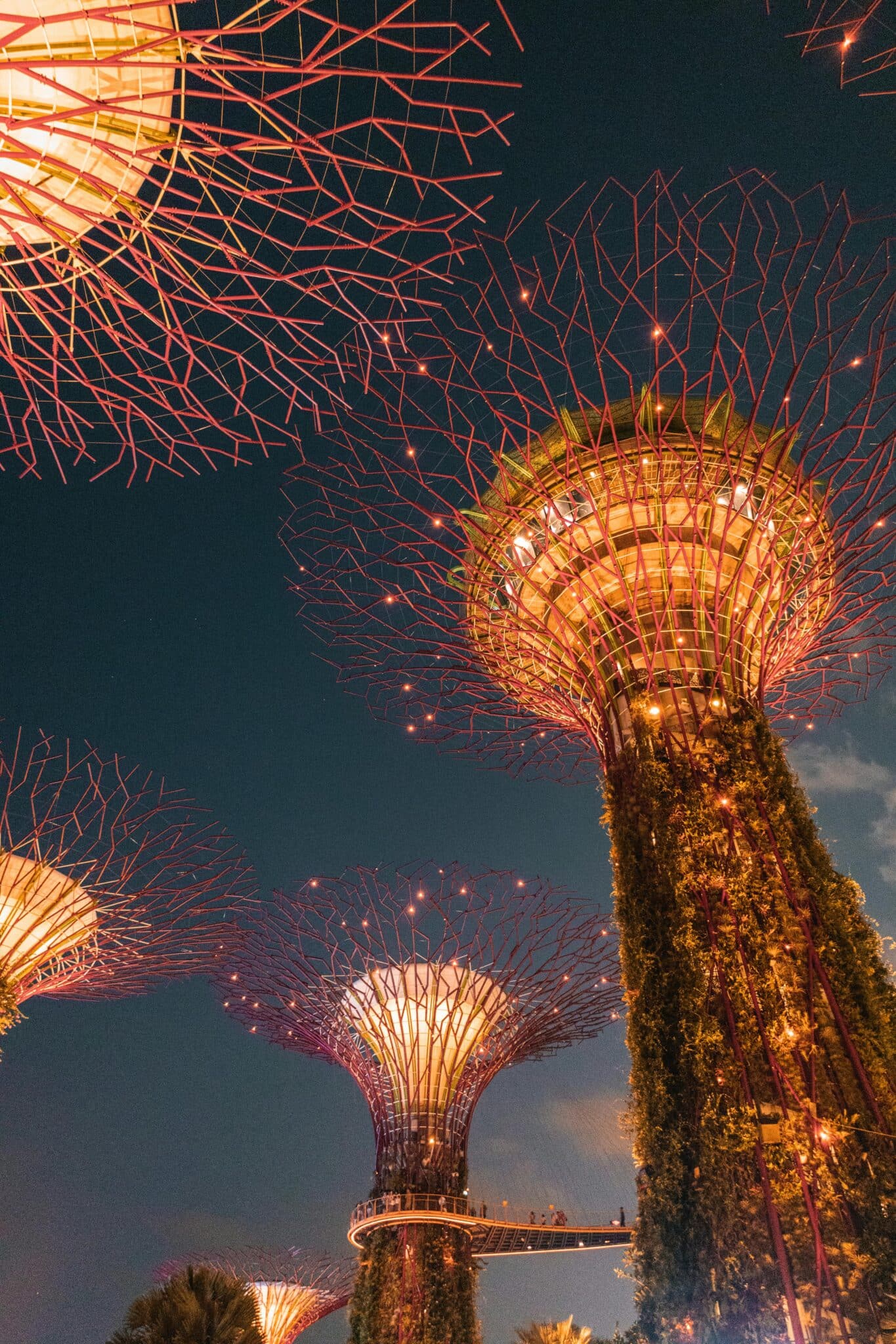 25+ Exciting Things To Do in Singapore at Night
