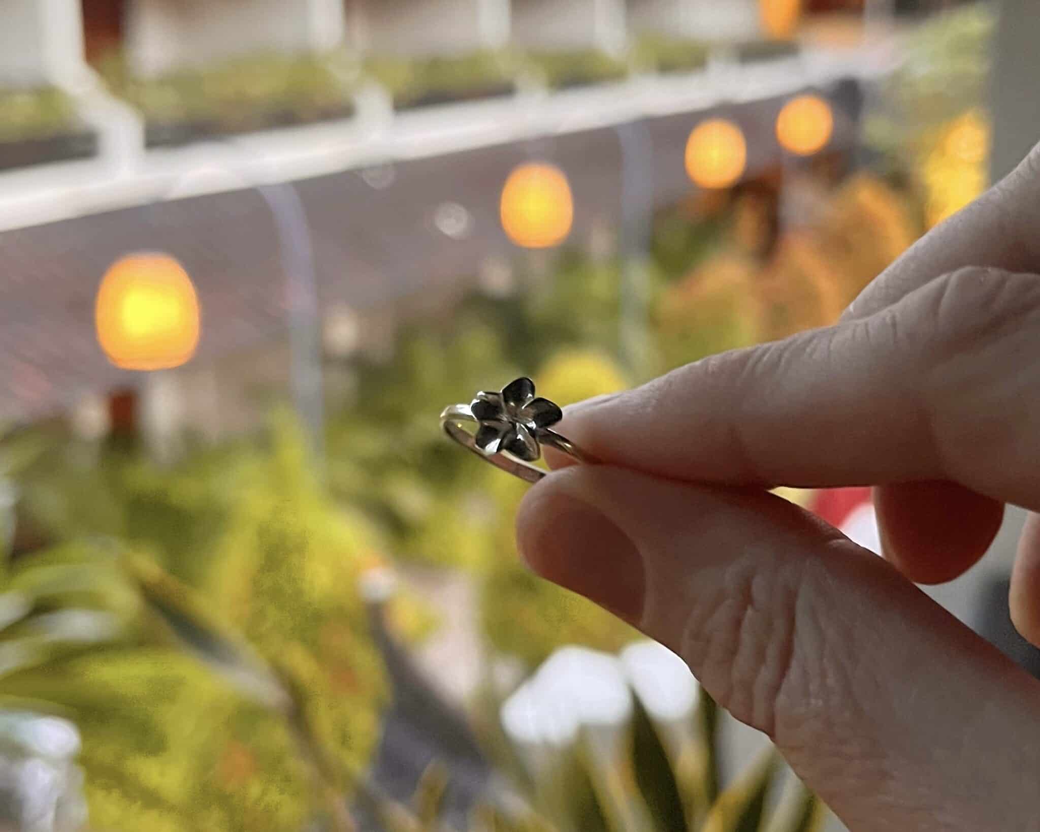 A ring purchased at Flithy Gorgeous silver jewellery (shopping in Sanur).